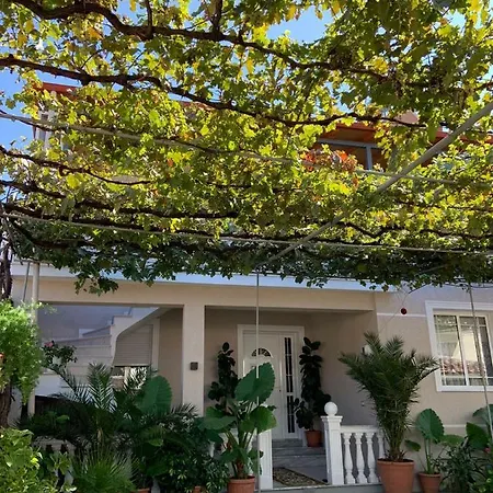 Qyteza Affittacamere